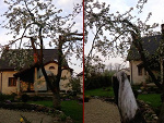 Fotoblog nelove