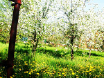 Fotoblog mojanatura