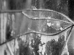 Fotoblog iustusi