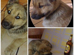 Fotoblog kama1234