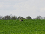 Fotoblog unkepthope