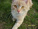 Fotoblog cateline