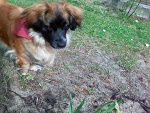 Fotoblog ghroszek