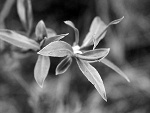 Fotoblog santaklauz666