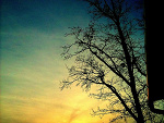 Fotoblog roksana99321