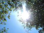 Fotoblog hypertrophia