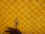 Fotoblog msterna