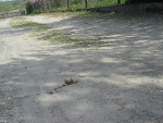 Fotoblog ksiezniczkamartusia