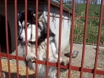 Fotoblog zlota10