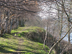 Fotoblog twiligt