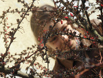 Fotoblog nadiaiwan
