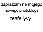 Fotoblog boulee