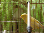 Fotoblog bartekdera