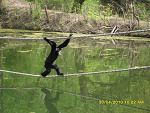 Fotoblog xdcarolinexd