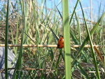 Fotoblog nastkaaga