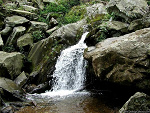 Fotoblog weroniczka333