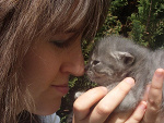 Fotoblog nigergatto