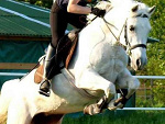 Fotoblog isia956