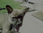 Fotoblog 5up3rdup3r