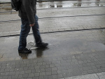Fotoblog ochmanbudyn