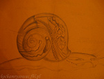 Fotoblog kochamrysowac