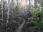 Fotoblog yourxhero