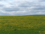 Fotoblog kasiax3333