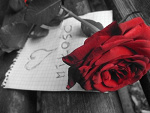 Fotoblog opisowoo