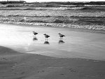 Fotoblog zakochanex3