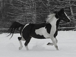 Fotoblog louinette