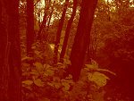 Fotoblog lunia299