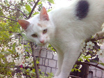 Fotoblog justcherry