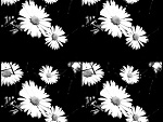 Fotoblog takpusto