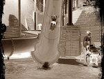 Fotoblog crizzy