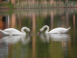 Fotoblog leszek45