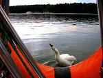 Fotoblog smiertelnygrzech