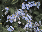 Fotoblog dulinay