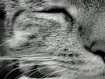 Fotoblog maleenstwoo