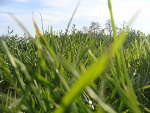 Fotoblog emeela