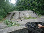 Fotoblog samael1