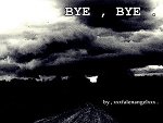 Fotoblog xxxfallenangelxxx