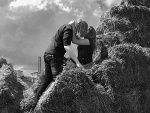 Fotoblog fuckedunicorn