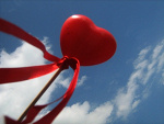 Fotoblog youbelongwithmex3