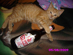 Fotoblog ded1234567890