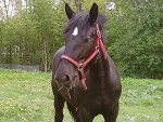 Fotoblog kasiunia990