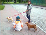 Fotoblog poziomekziomek
