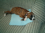 Fotoblog pauluskazmc