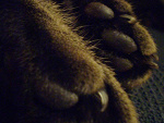 Fotoblog mcbeatrycze