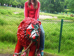 Fotoblog nattulaa