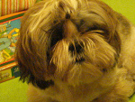 Fotoblog buniasunia